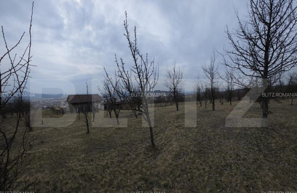 Teren extravilan de vanzare, 900 mp, Bistrita - 3