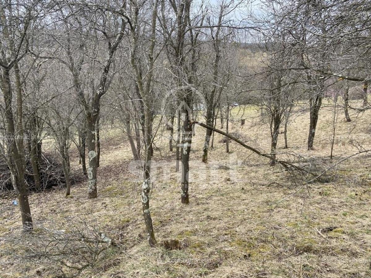 Teren intravilan cu CF 5400mp front 17 Savadisla jud Cluj - 8