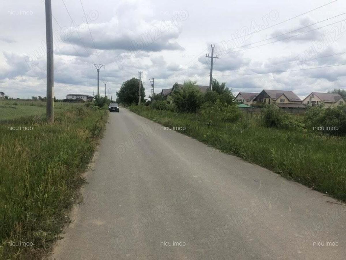 Vanzare Teren Rezidential 3500MP 1 Decembrie Ilfov - 4