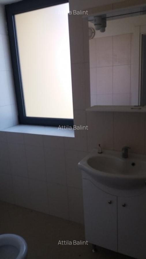Casa Braytim- LIDL nemobilata 160000 euro+TVA - 15