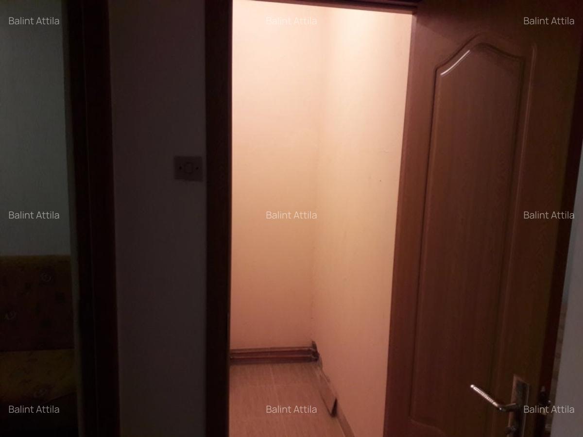 Sagului- Piata Doina 3 camere 400 euro - 9