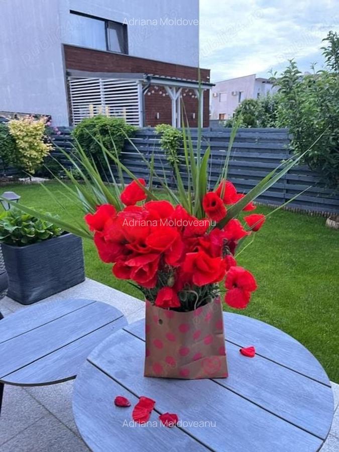 Vilă Individuală de Lux - 4