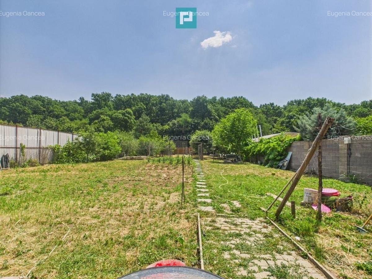 Teren edificabil 1106 mp – Dumbrăvița - 6