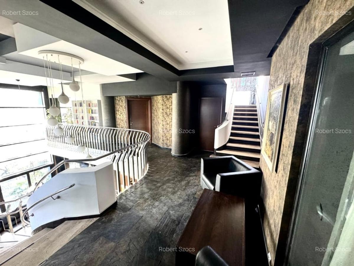 Vila premium 455 mp, destinatie rezidentiala/comerciala-Carrefour Colentina! - 9