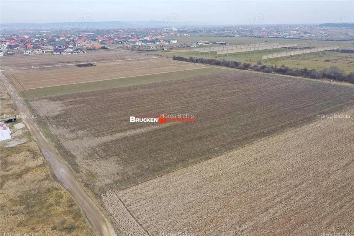 5 PARCELE PENTRU CASA | ZONA REZIDENTIALA I DEZVOLTARE | CIHEI - 6