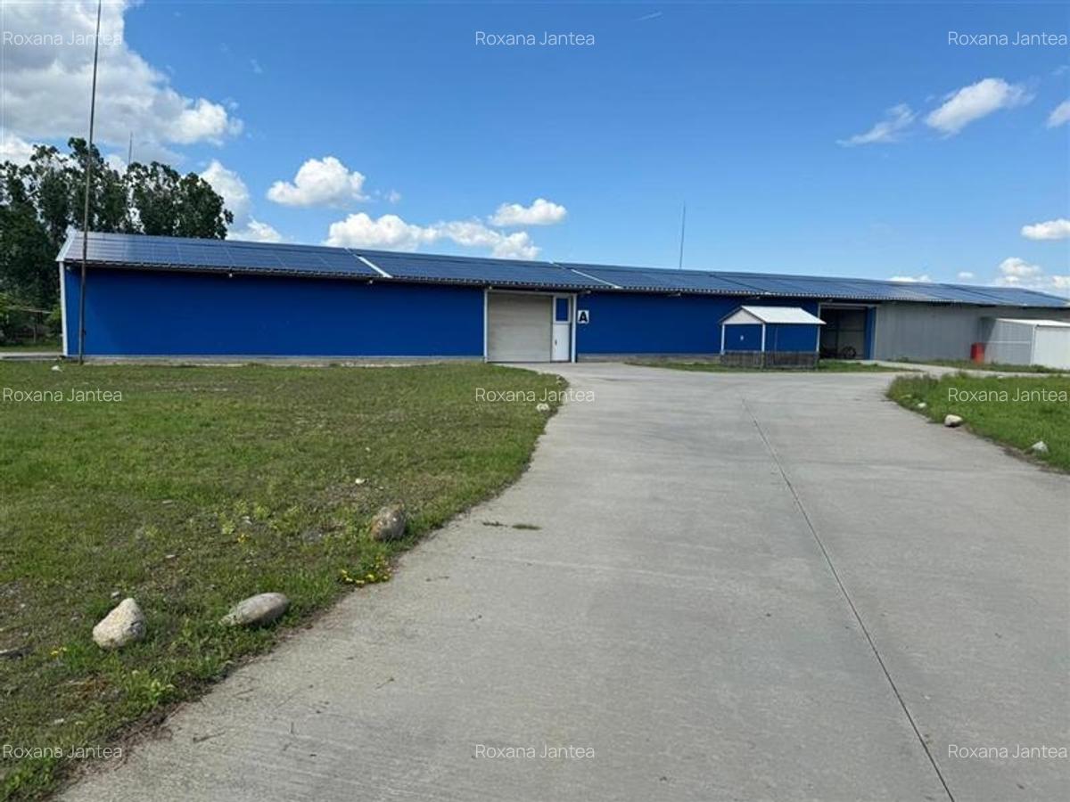 Spatii industriale pentru activitati de productie, depozitare sau distributie, Z - 1