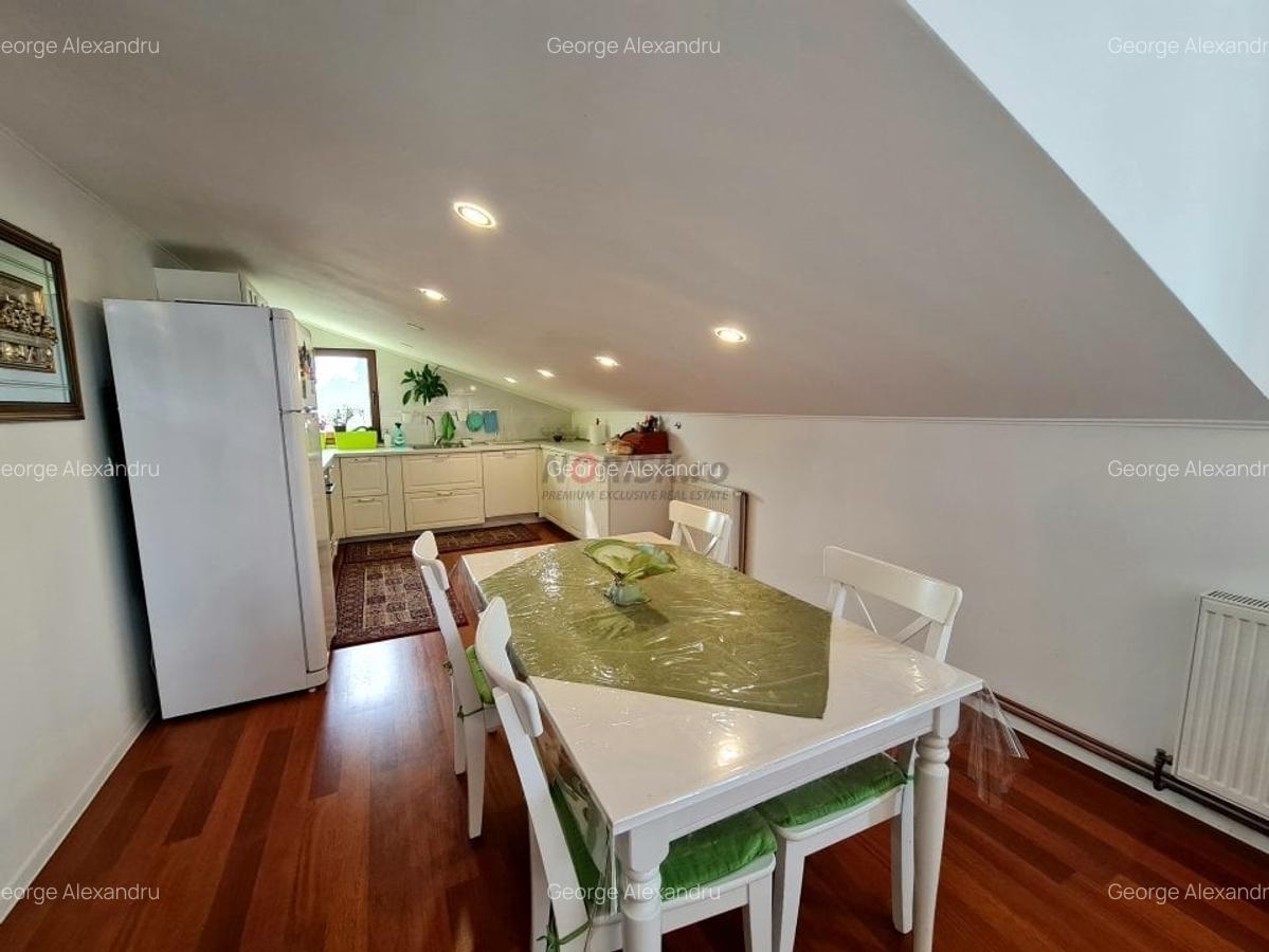 Vila + Afacere 15.000mp Clinceni - 16