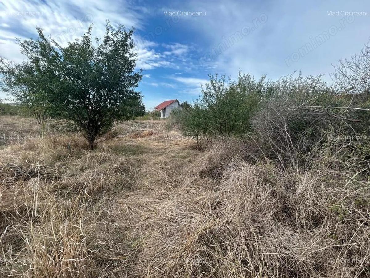 COMISION 0 | Teren intravilan | 945mp | Sacalaz Vest - 8