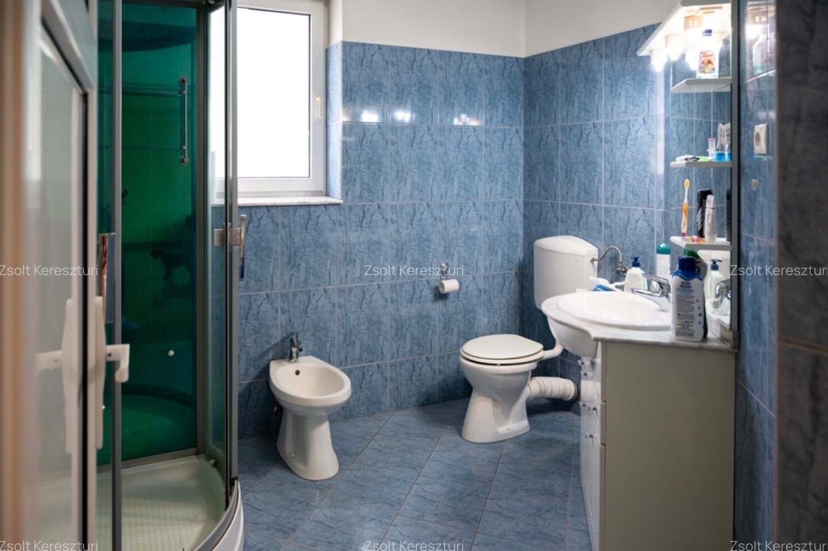 Vila in Andrei Muresanu,  6 camere, teren 600 mp - 10