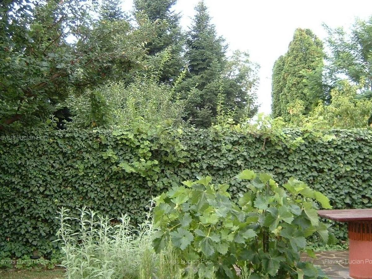 Vanzare | Casa | Otopeni Fermei | 2 Parcari | Curte libera 300 mp - 7