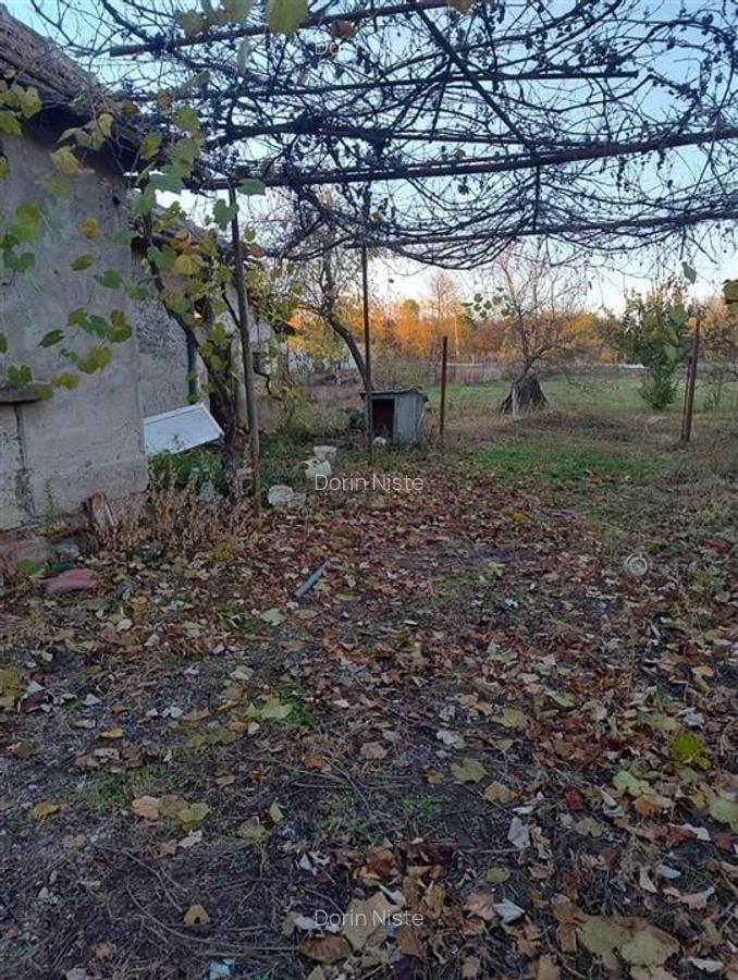 RECO Casa 3 camere, Alparea - 4