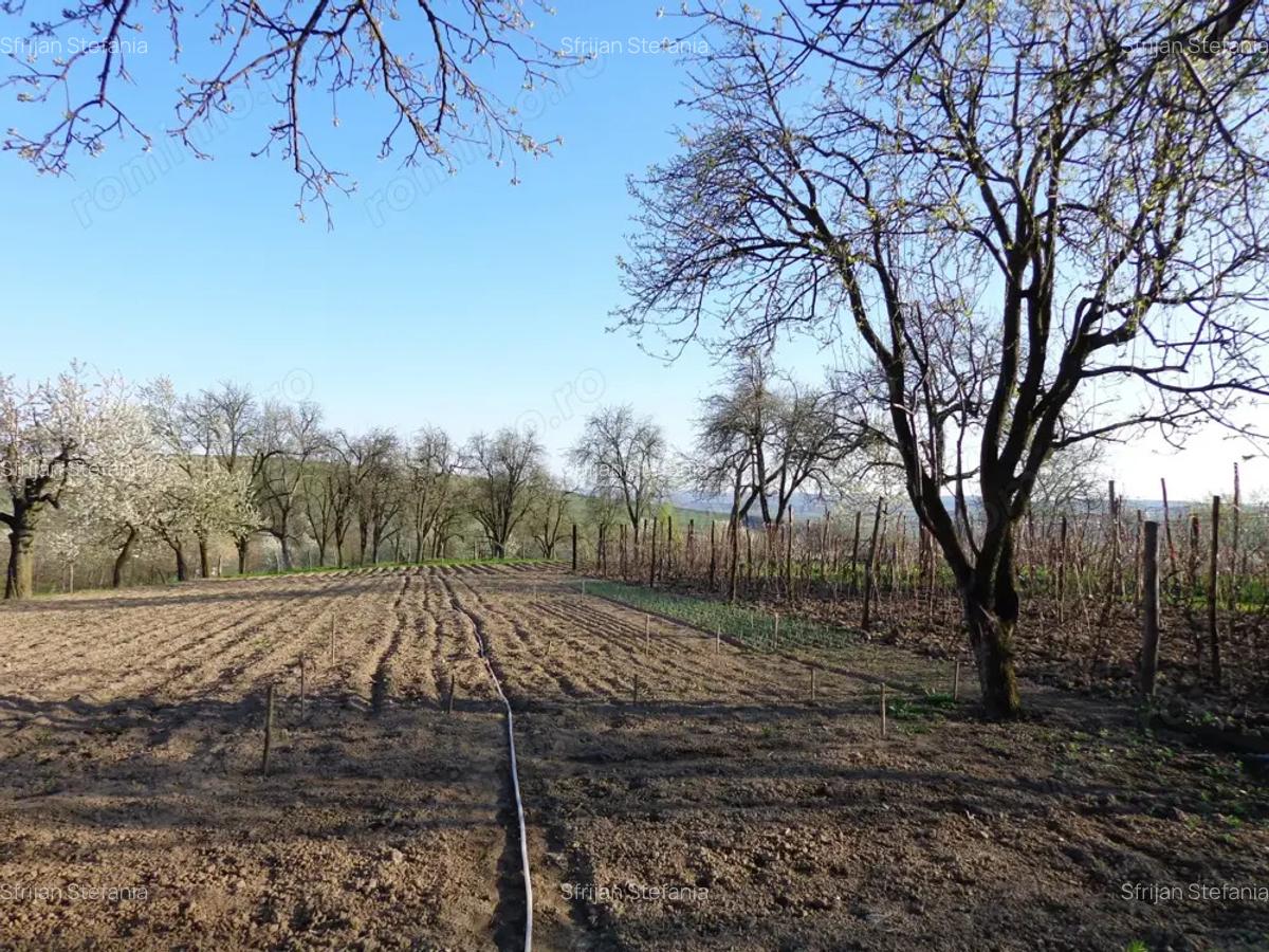 Casa cu anexe si teren - 8