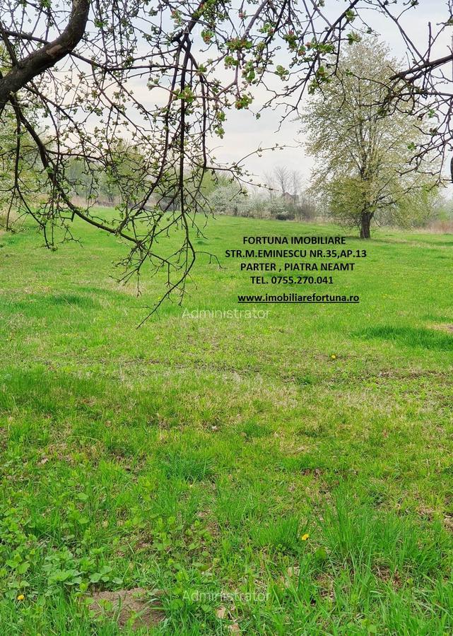 Teren intravilan Rediu, la 30 minute de oras, 4585 mp - 2