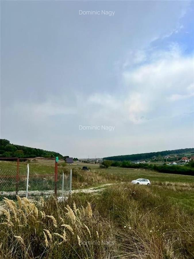RECO teren de vanzare in zona Betfia - 3