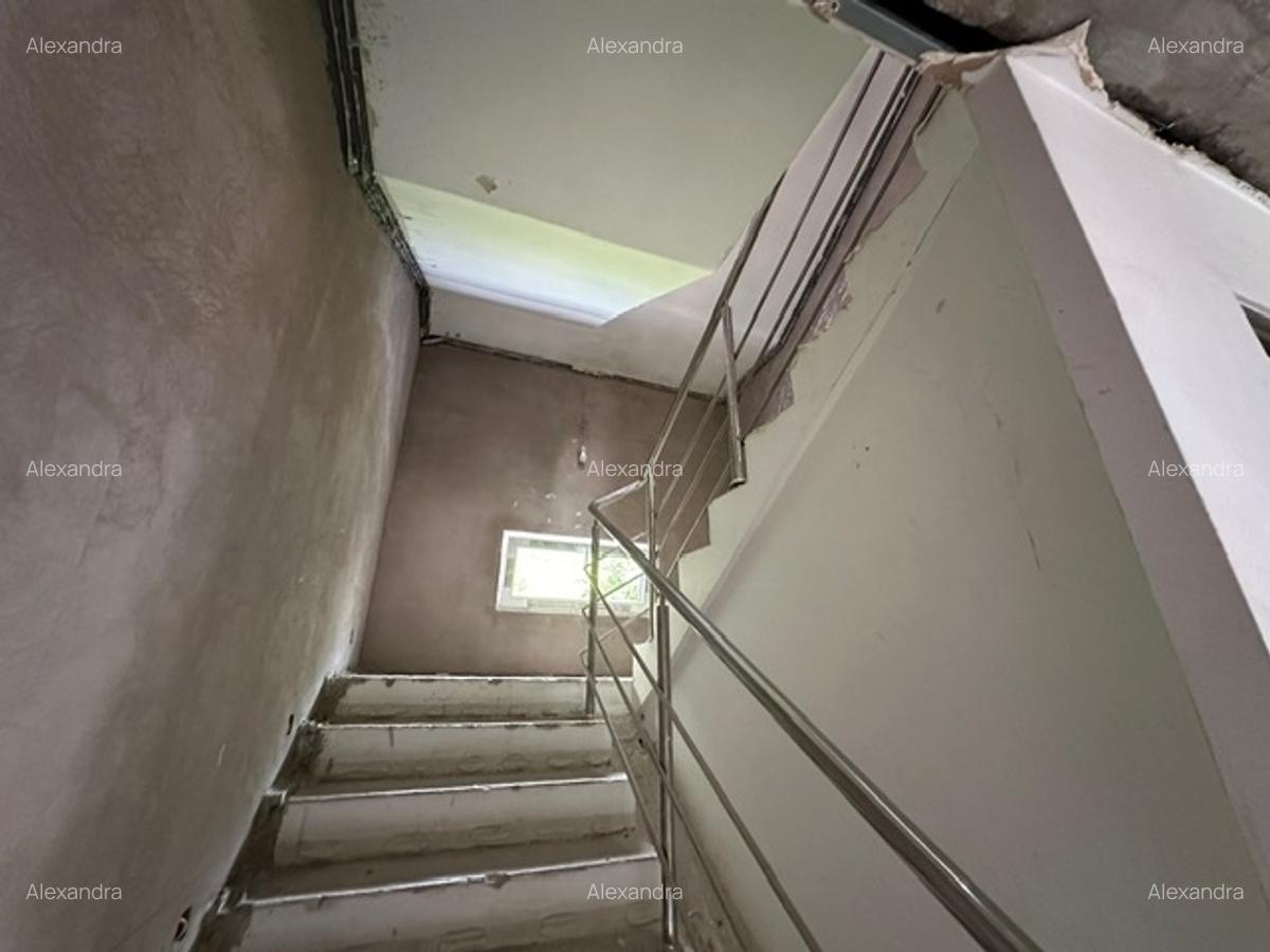 Vanzare vila individuala cu garaj si curte - Herastrau - 14