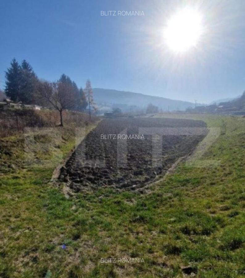 Teren extravilan - Sita Buzaului -6800 mp posibilitate trece - 18
