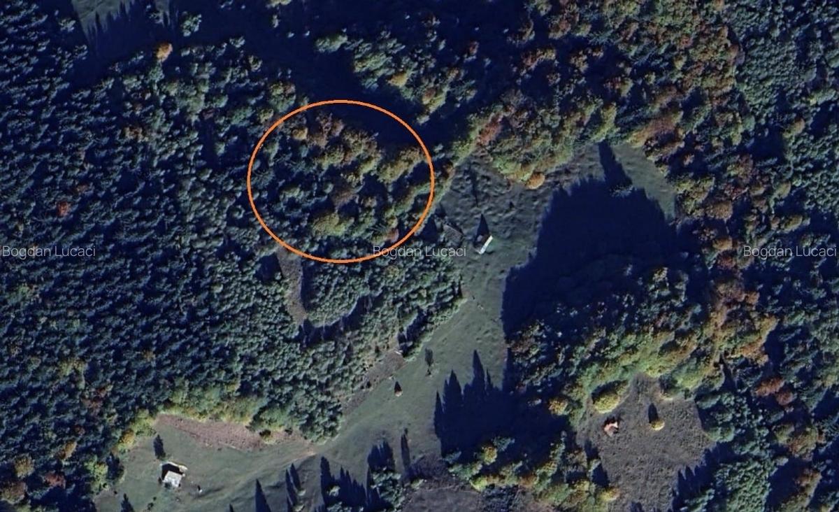Teren extravilan de 9200 mp, în Moieciu - 2