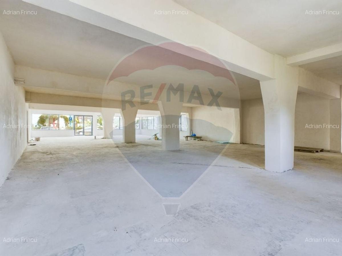 Spatiu comercial 385 mp, zona Tudor Vladimirescu - 4