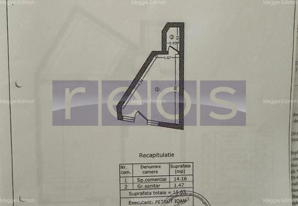 INCHIRIERE PARTER | SPATIU COMERCIAL | 16 MP | VICTORIEI | STRADAL - 3