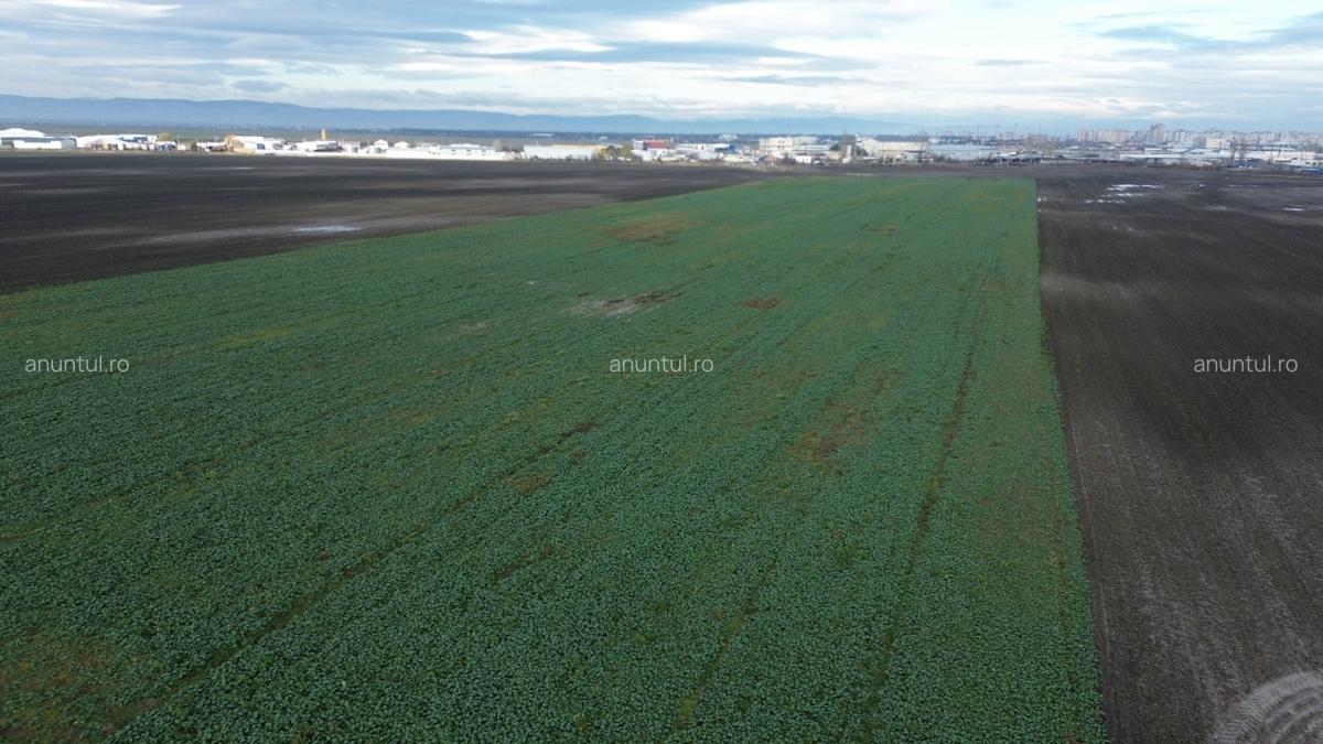 Constanta Teren intravilan 2,8 ha industrial deschidere 75 ml soseaua Constantei - 4