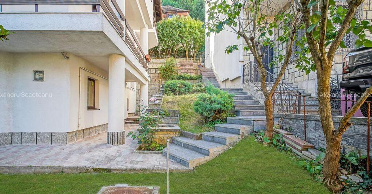 ELEGAN?A URBANA IN INIMA BRA?OVULUI | PETOFI SANDOR ... - 3