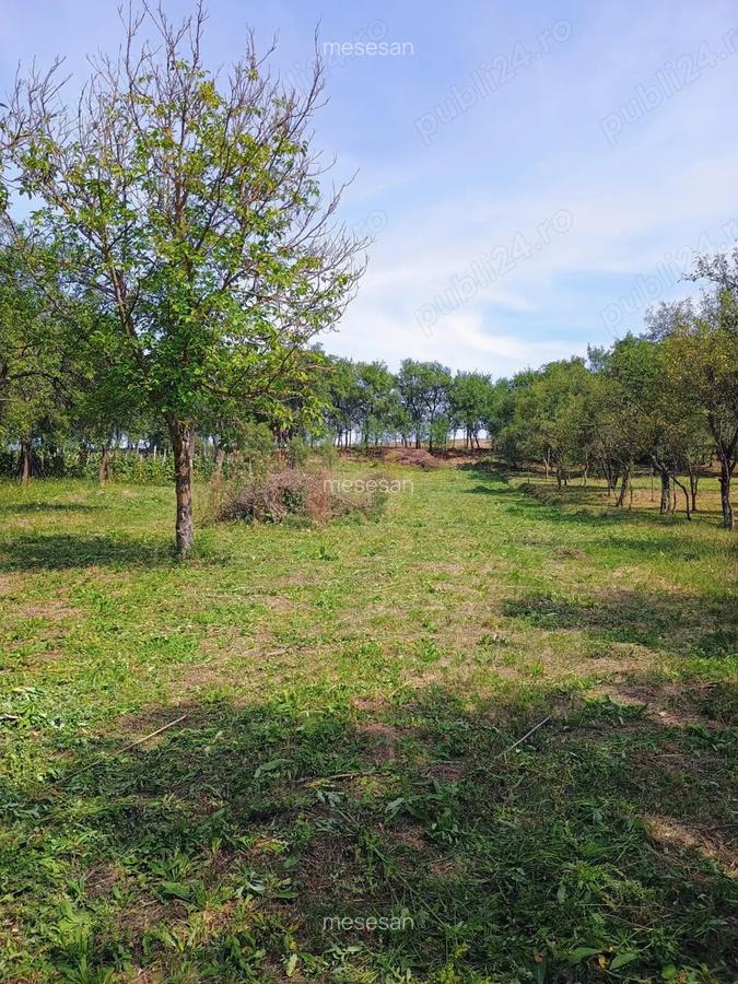 Casa + bucatarie de vara+gradina - 8