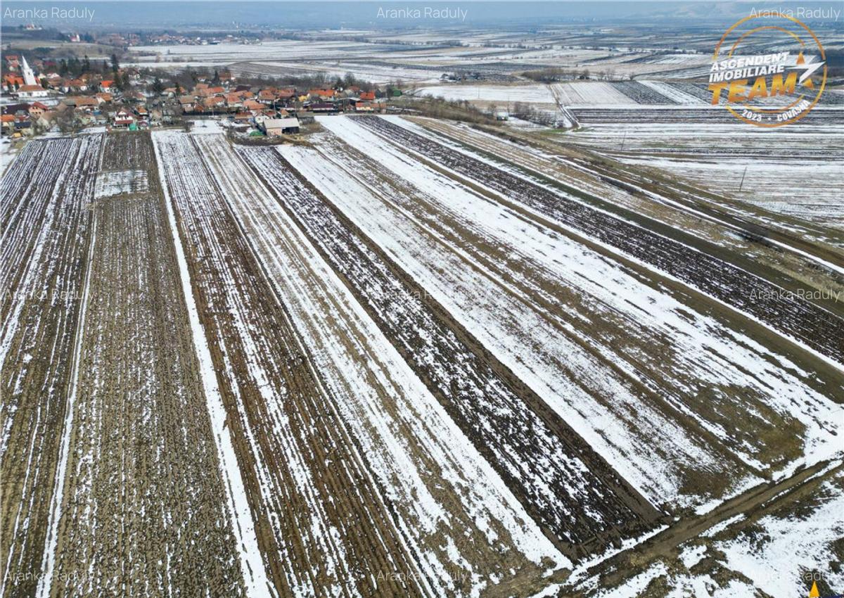 Suprafata intravilan 6.425 mp, oportunitate platforme rezide - 6