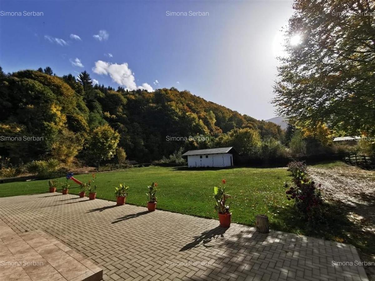 Hotel/Pensiune, 600 mp în Lisa - 6