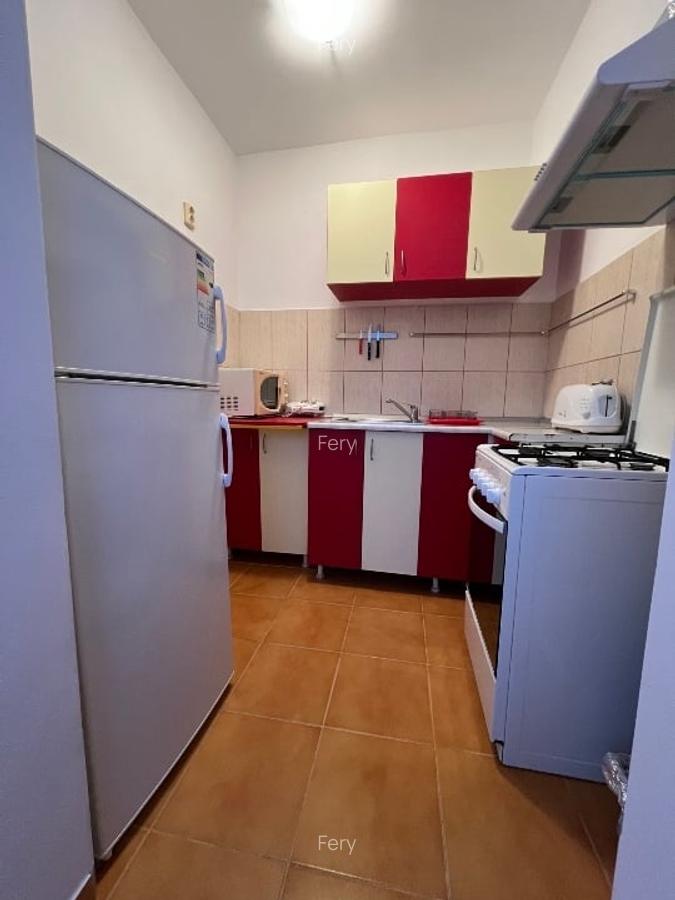 Casa de Cultura, Garsoniera 31 mp, mobilata, utilata, gaze, termen lung - 5