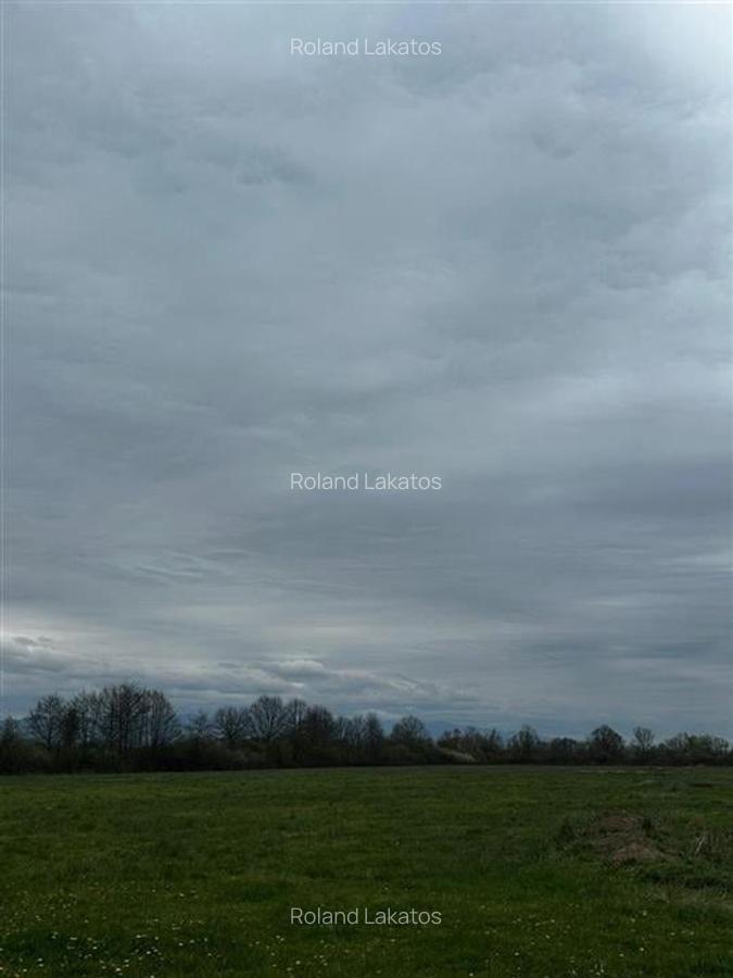 Reco Teren 5000mp, langa Aqua Park Beius - 2