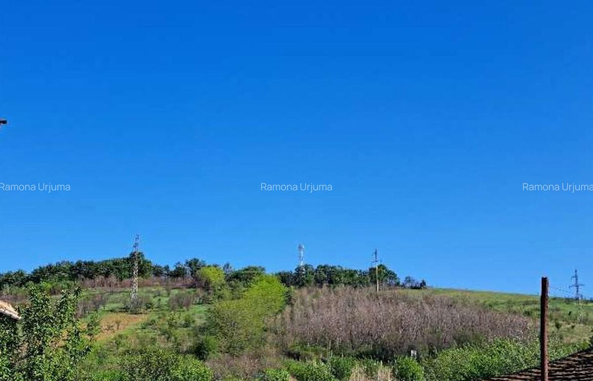 Cota de 1/2 din teren extravilan, comuna Rogova, Jud Mehe... - 3