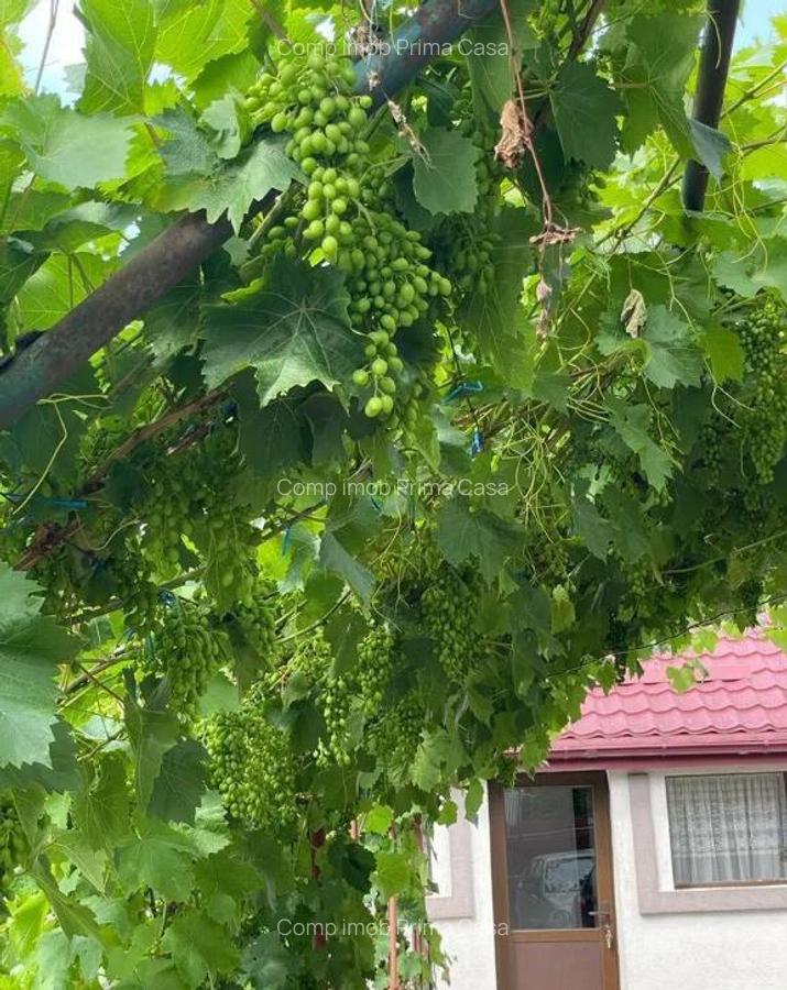 Casa si teren 1785mp ~ comuna Merei/BZ ~ renovata recent ~ SC 170mp ~ - 1