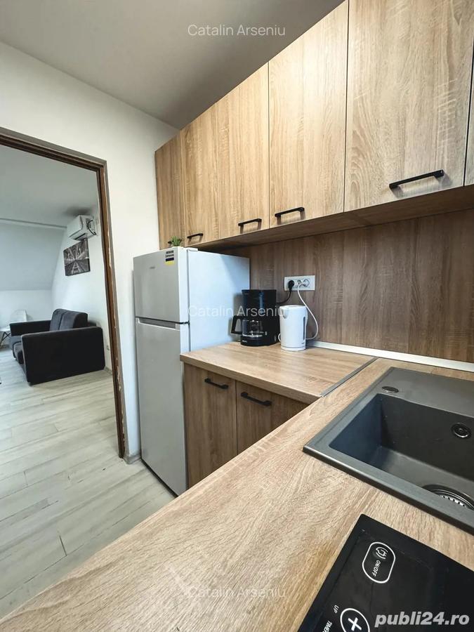 Ofer spre inchiriere STUDIO Modern si Primitor - 8
