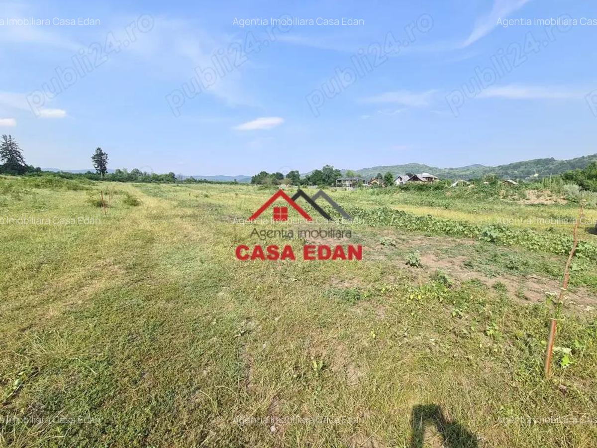 Teren intravilan in Campina, 7500mp--35e - 12