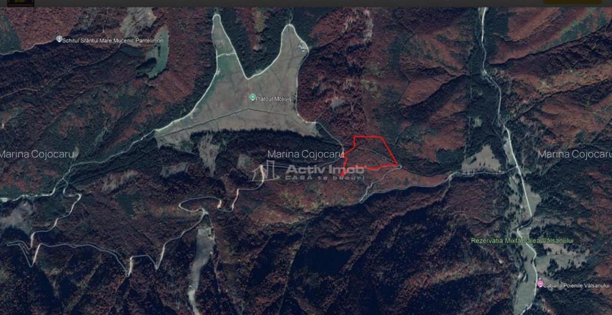 Teren 7 ha, Lac Vidraru, Podis Molivis - 5