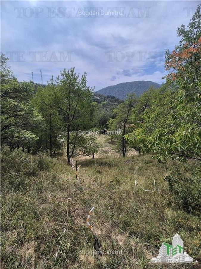 Teren intravilan pentru investitie turistica, 4000 mp, langa Club Vila Bran cu p - 4