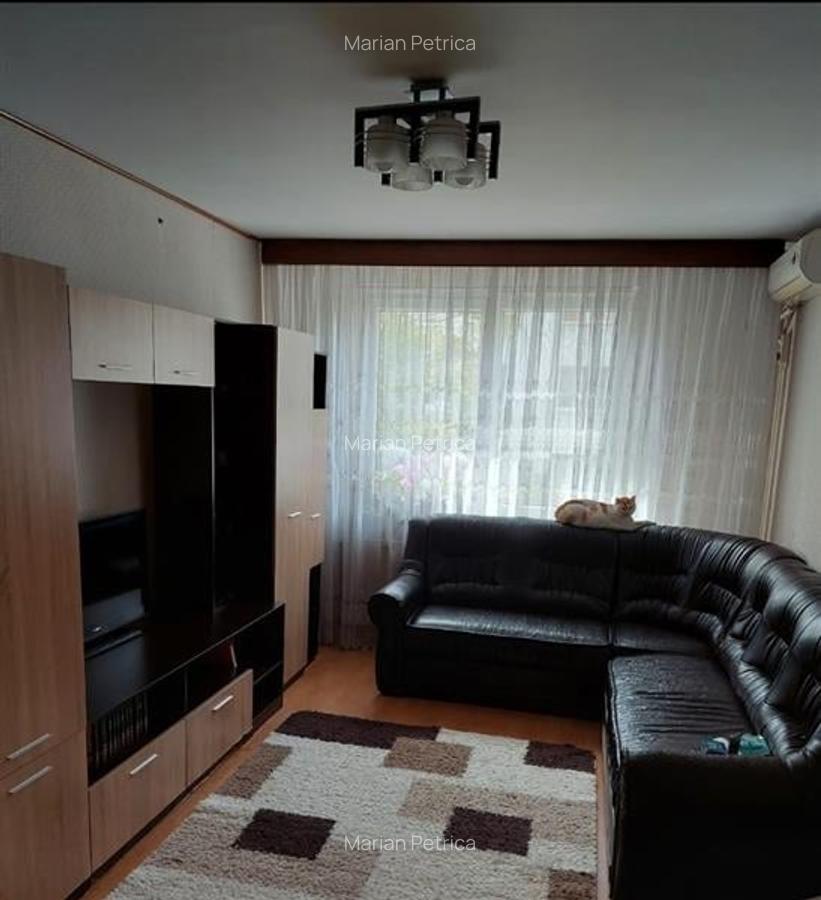 Apartament 3 camere Teiul Doamnei - 1