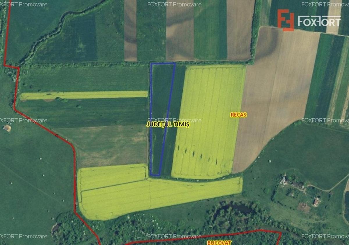 Teren extravilan agricol de 23.700 mp - Recas - Izvin - 1