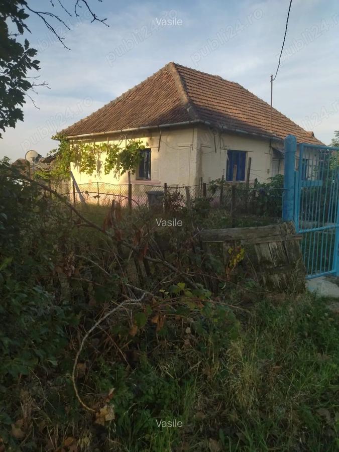 Vand casa locuibila cu vie ?i teren In sat Doh, comuna Maeriste - 3