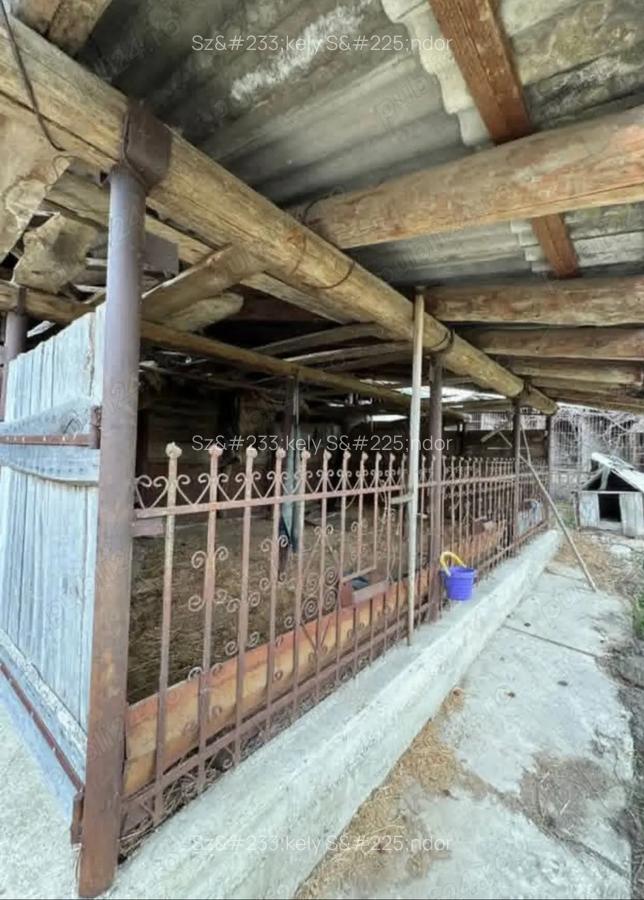 Casa taraneasca linga Marghita - 5