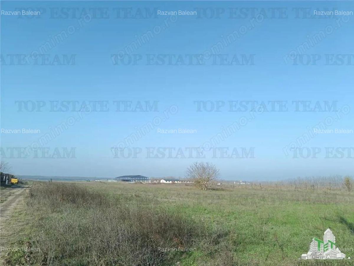 Super teren intravilan (Lot 1) la DJ 101, loc. Gruiu IF, ideal pentru dezvoltatori imobiliari pentr - 7