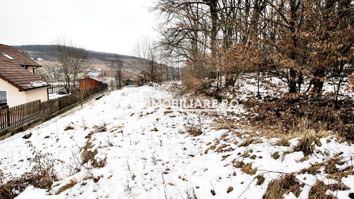 Teren 800 mp.  36 euro mp.Corunca zona Toyota - 7