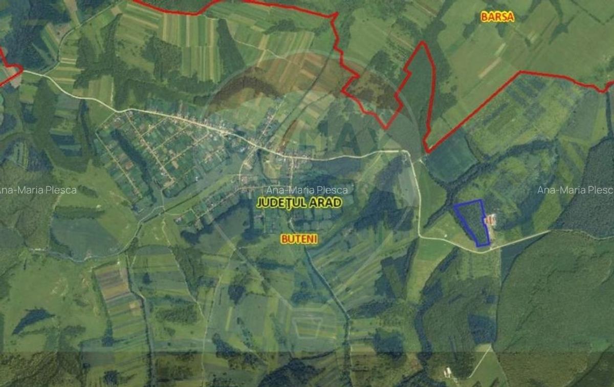 Teren 70,808mp ( sat Cuied - comuna Buteni ) - 3