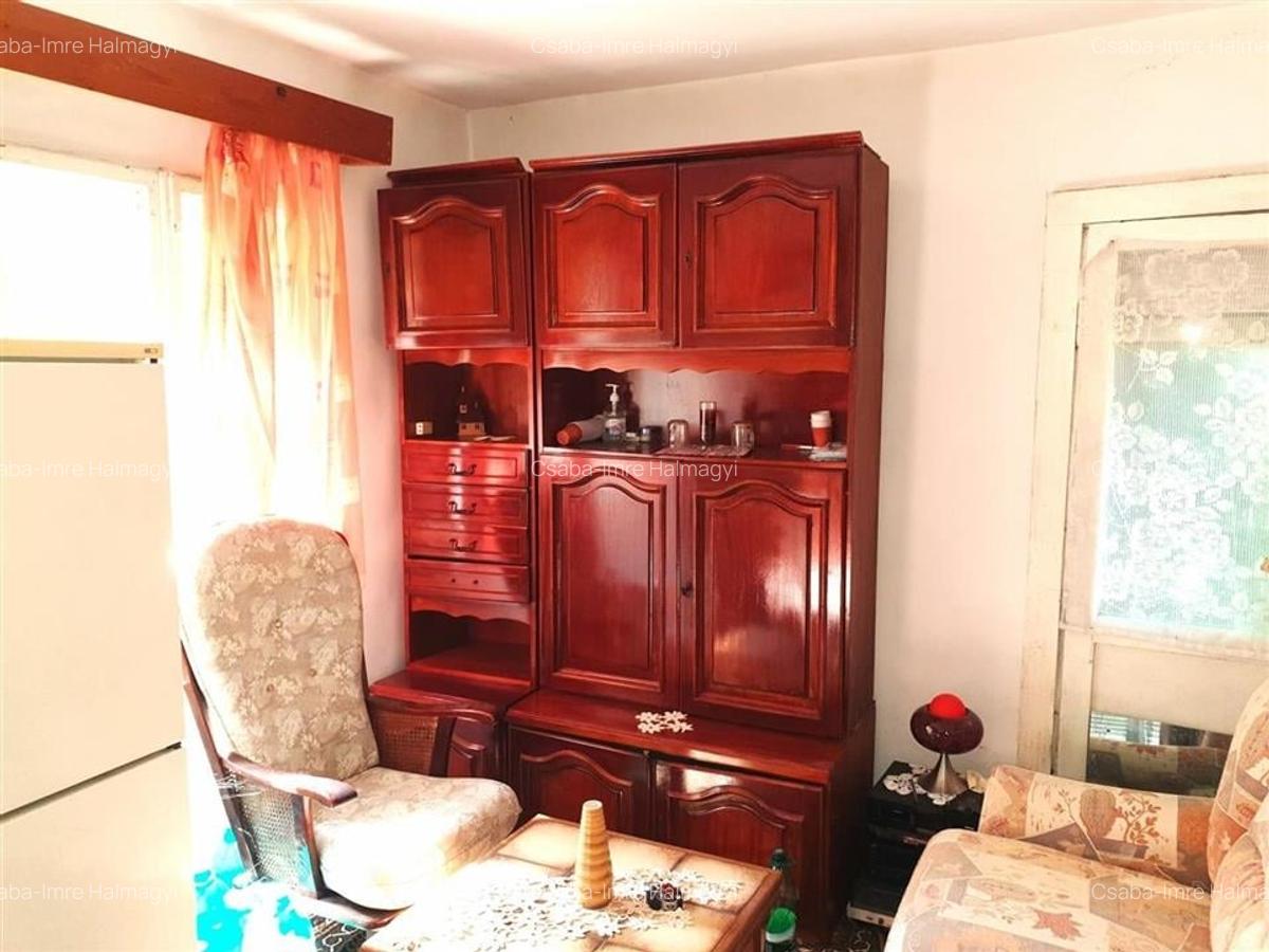Casă individuală cu 2 camere în Ginta - 20