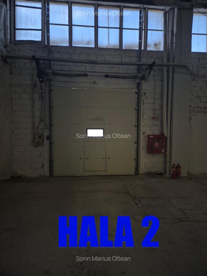 Hale de închiriat - 8
