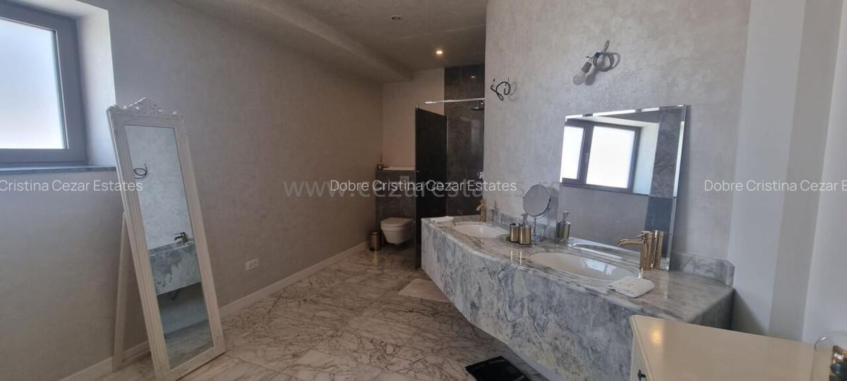 PIPERA IANCU NICOLAE VILA LUX RENOVATA COMPLET 2022 - 59