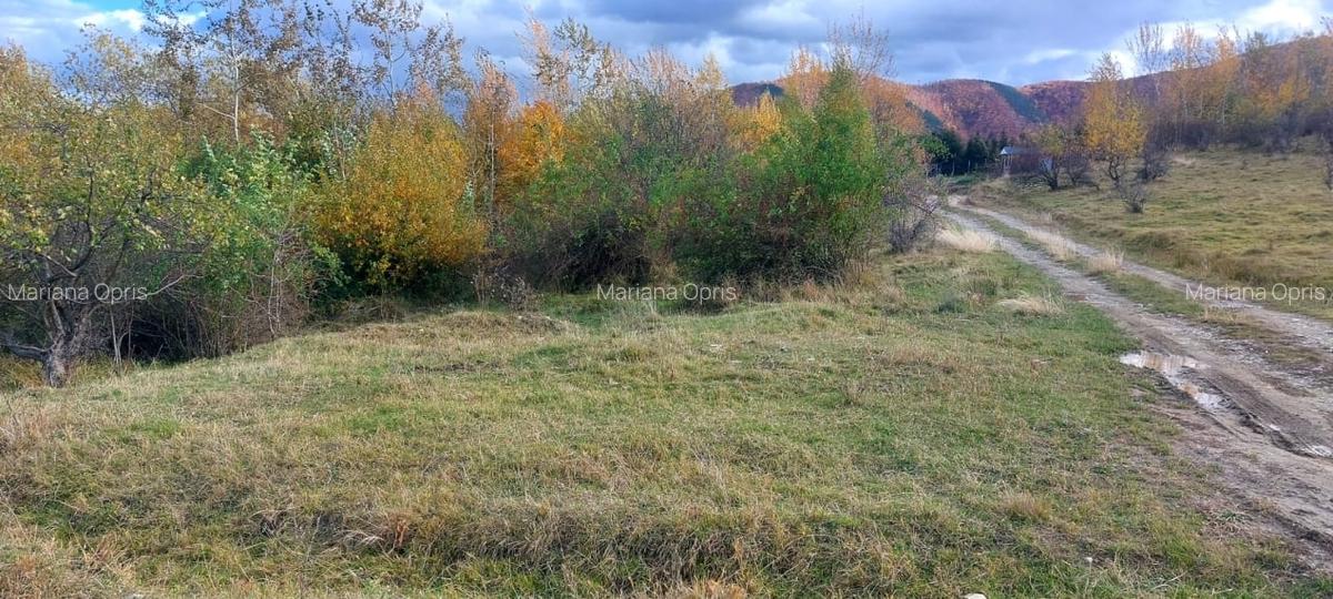 Teren intravilan 1100mp deschidere la drum, de vanzare in Cisnadioara - 2