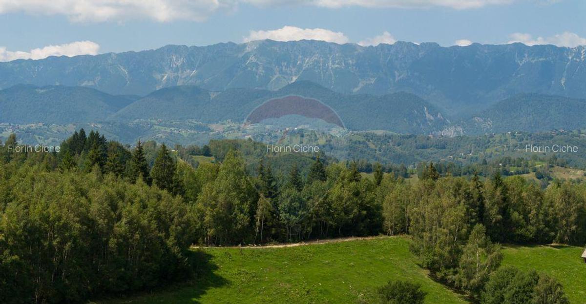 Teren Panoramic in Bran Vedere spre Bucegi & Piatra C... - 15