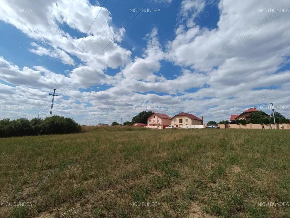 Descopera o oportunitate rara: Teren intravilan- 2.000 mp in Zadareni - 12