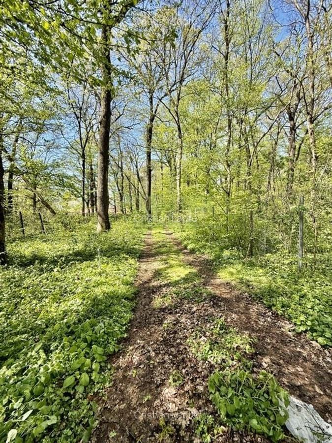 TEREN 7000 MP| DESCHIDERE 40 ML | INTRAVILAN-PADURE | POT 5% | TEREN UNIC | - 4